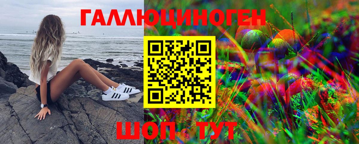 Псилоцибиновые грибы GOLDEN TEACHER Коммунар