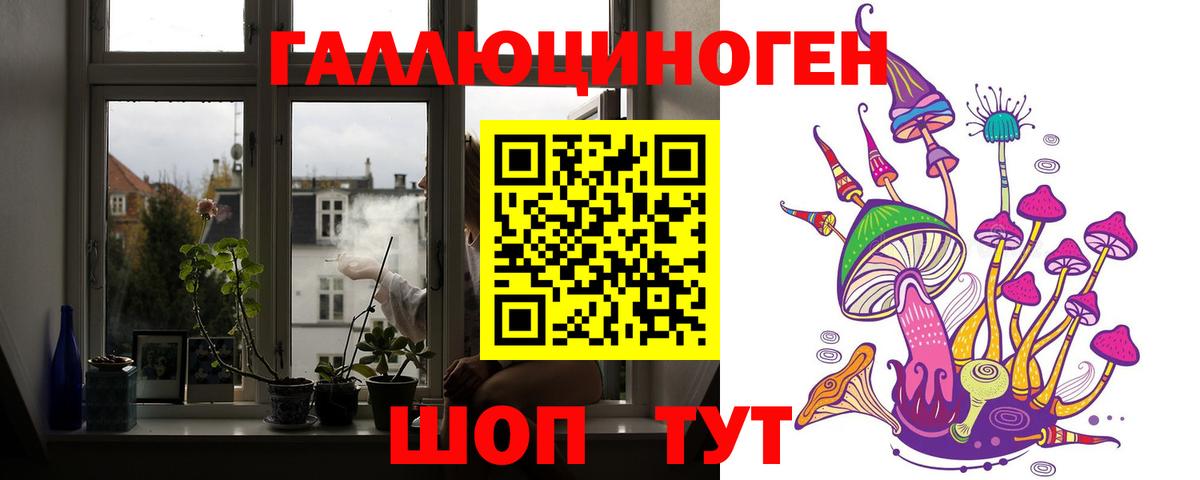 Галлюциногенные грибы Cubensis  Вход с VPN  Псилоцибиновые грибы мицелий  Коммунар 